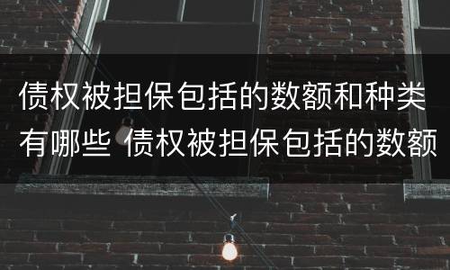 债权被担保包括的数额和种类有哪些 债权被担保包括的数额和种类有哪些规定