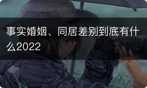 事实婚姻、同居差别到底有什么2022