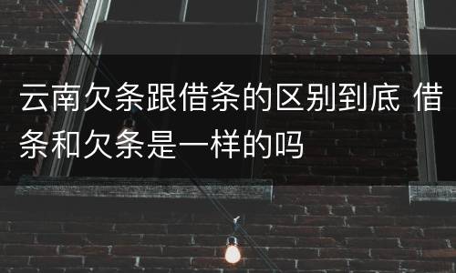 云南欠条跟借条的区别到底 借条和欠条是一样的吗