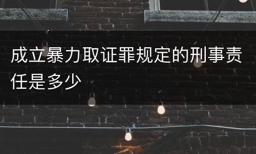 成立暴力取证罪规定的刑事责任是多少