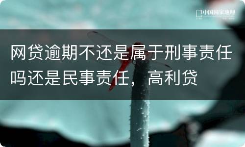 网贷逾期不还是属于刑事责任吗还是民事责任，高利贷