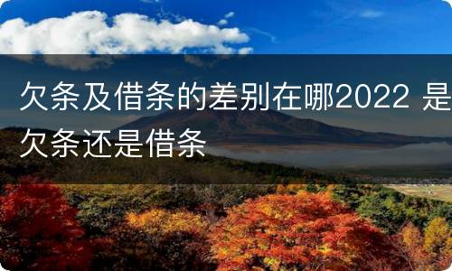 欠条及借条的差别在哪2022 是欠条还是借条