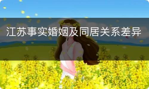 江苏事实婚姻及同居关系差异