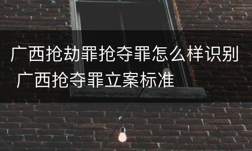 广西抢劫罪抢夺罪怎么样识别 广西抢夺罪立案标准