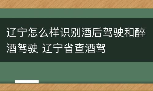 辽宁怎么样识别酒后驾驶和醉酒驾驶 辽宁省查酒驾