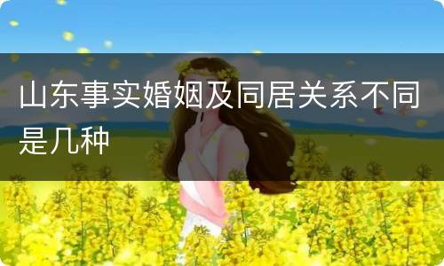 山东事实婚姻及同居关系不同是几种