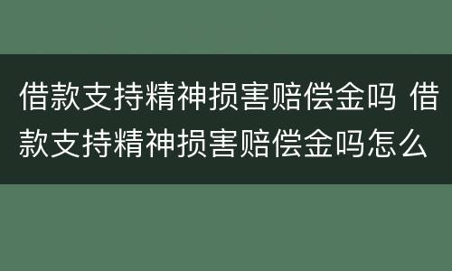 借款支持精神损害赔偿金吗 借款支持精神损害赔偿金吗怎么算