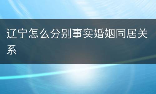 辽宁怎么分别事实婚姻同居关系