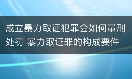 成立暴力取证犯罪会如何量刑处罚 暴力取证罪的构成要件