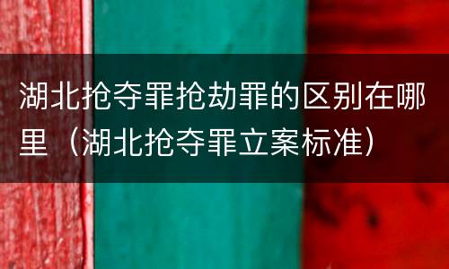 湖北抢夺罪抢劫罪的区别在哪里（湖北抢夺罪立案标准）