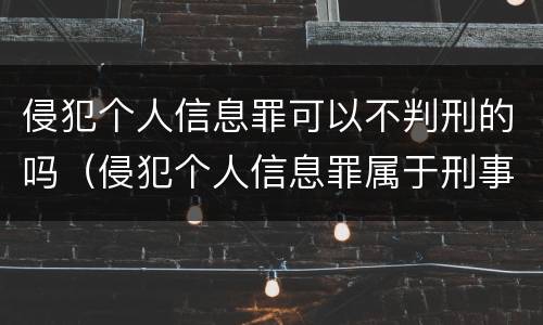 侵犯个人信息罪可以不判刑的吗（侵犯个人信息罪属于刑事吗）