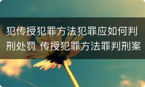 犯传授犯罪方法犯罪应如何判刑处罚 传授犯罪方法罪判刑案例