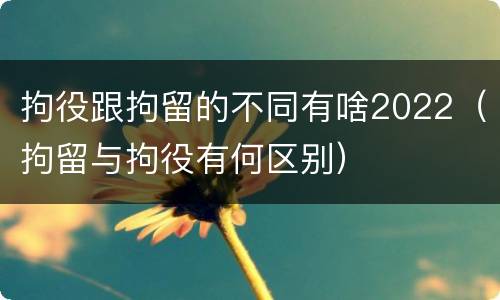 拘役跟拘留的不同有啥2022（拘留与拘役有何区别）