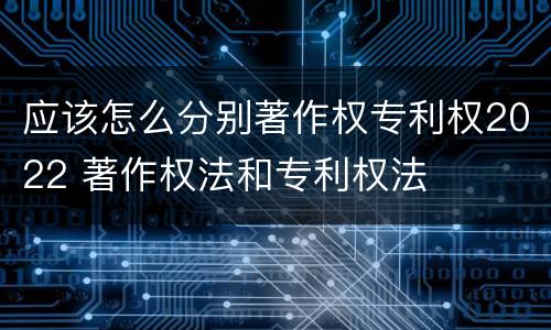 应该怎么分别著作权专利权2022 著作权法和专利权法