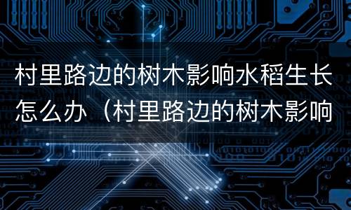 村里路边的树木影响水稻生长怎么办（村里路边的树木影响水稻生长怎么办视频）