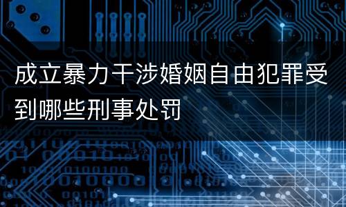 成立暴力干涉婚姻自由犯罪受到哪些刑事处罚