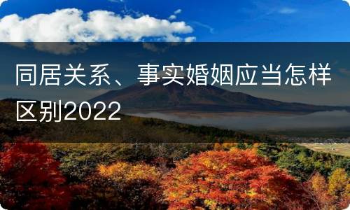 同居关系、事实婚姻应当怎样区别2022