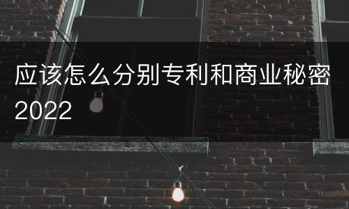 应该怎么分别专利和商业秘密2022