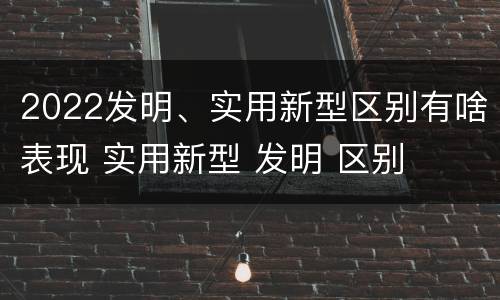 2022发明、实用新型区别有啥表现 实用新型 发明 区别