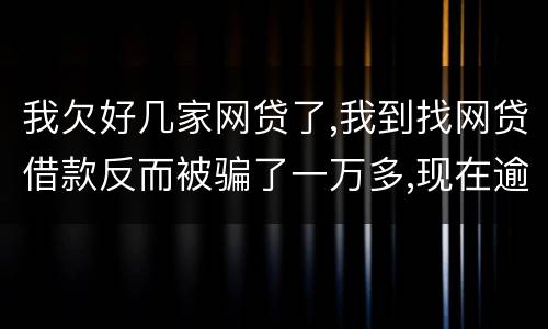 我欠好几家网贷了,我到找网贷借款反而被骗了一万多,现在逾期了好几家了,我给怎么办