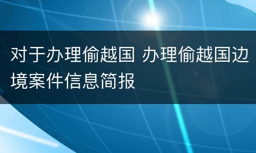 对于办理偷越国 办理偷越国边境案件信息简报