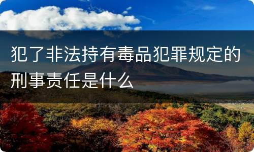 犯了非法持有毒品犯罪规定的刑事责任是什么