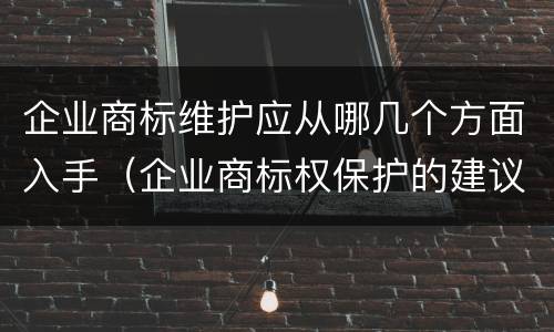 企业商标维护应从哪几个方面入手（企业商标权保护的建议）