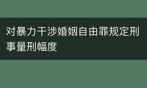 对暴力干涉婚姻自由罪规定刑事量刑幅度