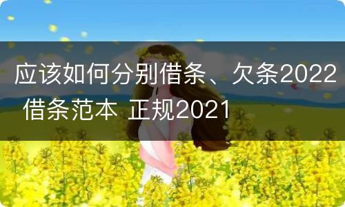 应该如何分别借条、欠条2022 借条范本 正规2021