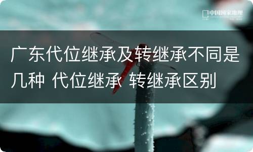 广东代位继承及转继承不同是几种 代位继承 转继承区别