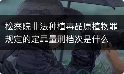 检察院非法种植毒品原植物罪规定的定罪量刑档次是什么