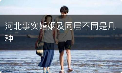 河北事实婚姻及同居不同是几种