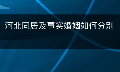 河北同居及事实婚姻如何分别