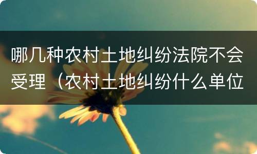 哪几种农村土地纠纷法院不会受理（农村土地纠纷什么单位可以解决吗?）