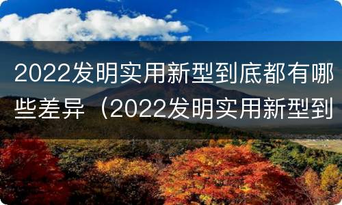 2022发明实用新型到底都有哪些差异（2022发明实用新型到底都有哪些差异性呢）