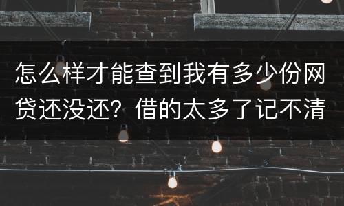 怎么样才能查到我有多少份网贷还没还？借的太多了记不清了