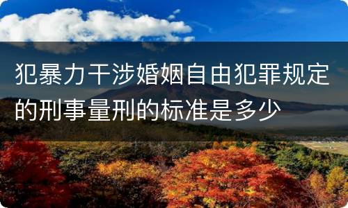 犯暴力干涉婚姻自由犯罪规定的刑事量刑的标准是多少