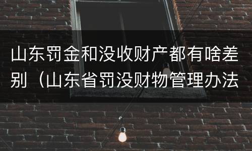 山东罚金和没收财产都有啥差别（山东省罚没财物管理办法）