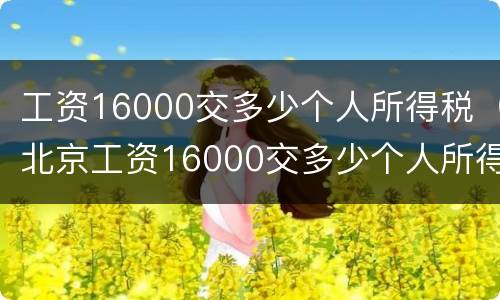 工资16000交多少个人所得税（北京工资16000交多少个人所得税）