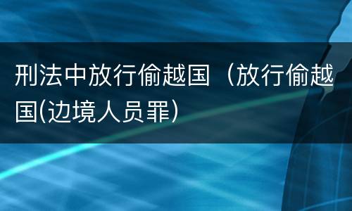 刑法中放行偷越国（放行偷越国(边境人员罪）