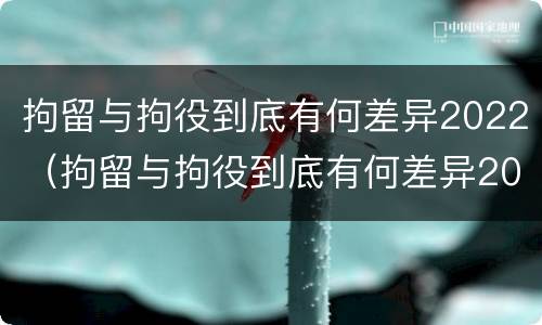 拘留与拘役到底有何差异2022（拘留与拘役到底有何差异2022年）