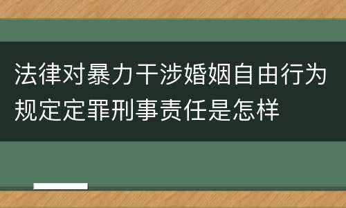 法律对暴力干涉婚姻自由行为规定定罪刑事责任是怎样