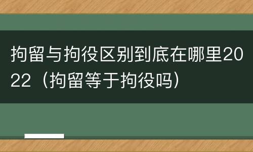 拘留与拘役区别到底在哪里2022（拘留等于拘役吗）