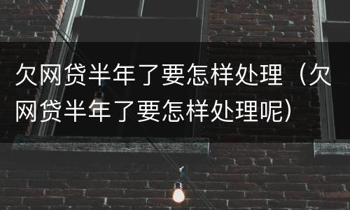 欠网贷半年了要怎样处理（欠网贷半年了要怎样处理呢）