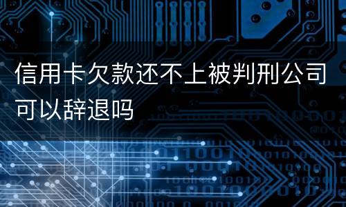 信用卡欠款还不上被判刑公司可以辞退吗