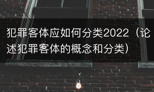 犯罪客体应如何分类2022（论述犯罪客体的概念和分类）