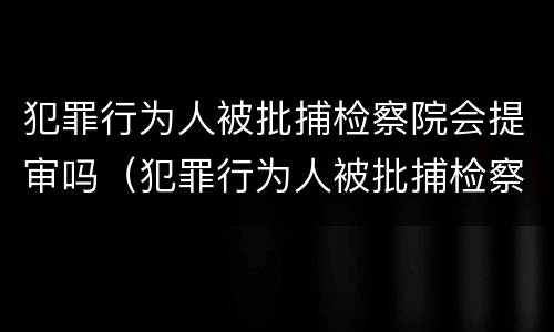 犯罪行为人被批捕检察院会提审吗（犯罪行为人被批捕检察院会提审吗）