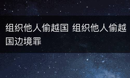 组织他人偷越国 组织他人偷越国边境罪