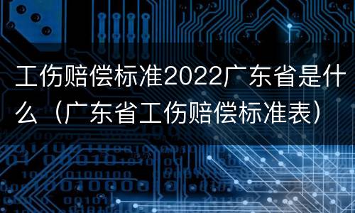 工伤赔偿标准2022广东省是什么（广东省工伤赔偿标准表）