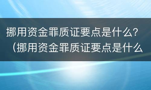 挪用资金罪质证要点是什么？（挪用资金罪质证要点是什么内容）